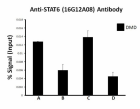 16G12A08_ChIP_STAT6_antibody_1_010818