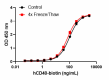 Biotinylated_Recom_Human_CD40_TNFRSF5-Fc_Chimera_CF_2_012521