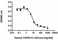 FGFR4-FcChimera_Human_RECOM_CF_BA_082715