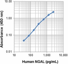 M049D6_Biotin_NGAL_Lipocalin-2_Antibody_040317