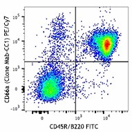 Mab-CC1_PECy7_CD66a_Antibody_1_110316