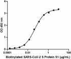 SARS-CoV-2_S_Protein_S1_CF_Biotin-RECOM_1_081920
