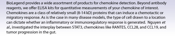 BioLegend provides a wide assortment of products for chemokine detection. Beyond antibody reagents, we offer ELISA kits for quantitative measurements of your chemokine of interest. Chemokines are a class of relatively small (8-14 kD) proteins that can induce a chemotactic or migratory response. As is the case in many disease models, the type of cell drawn to a location can dictate whether an inflammatory or immunoregulatory response is generated.  Nguyen et al., investigated the interplay between STAT3, chemokines like RANTES, CCL28, and CCL19, and tumor progression in the gut.