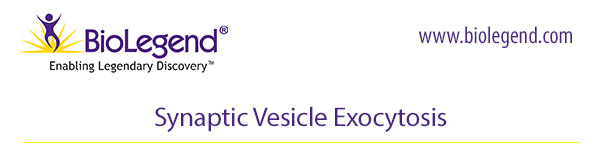Synaptic Vesicle Exocytosis