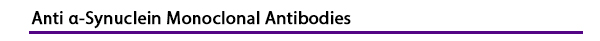 Anti a-Synuclein Monoclonal Antibodies