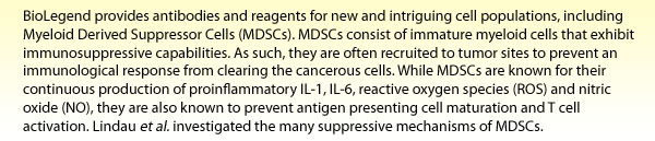 
BioLegend provides antibodies and reagents for new and intriguing cell populations, including Myeloid Derived Suppressor Cells (MDSCs). MDSCs consist of immature myeloid cells that exhibit immunosuppressive capabilities. As such, they are often recruited to tumor sites to prevent an immunological response from clearing the cancerous cells. While MDSCs are known for their continuous production of proinflammatory IL-1, IL-6, reactive oxygen species (ROS) and nitric oxide (NO), they are also known to prevent antigen presenting cell maturation and T cell activation. Lindau, et al. investigated the many suppressive mechanisms of MDSCs.