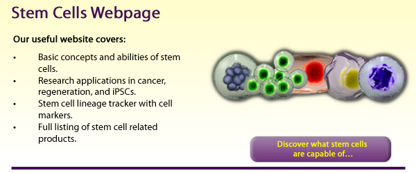 Stem Cells Webpage. Our useful website covers: Basic concepts and abilities of stem cells. Research applications in cancer,regeneration, and iPSCs. Stem cell lineage tracker with cell markers.Full listing of stem cell related products.