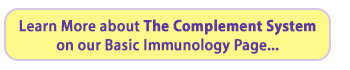 Learn more about The Complement System