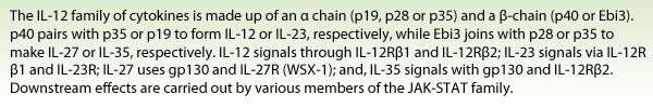 The IL-12 family of cytokines is made up of an α chain (p19, p28 or p35) and a β-chain (p40 or Ebi3). p40 pairs with p35 or p19 to form IL-12 or IL-23, respectively, while Ebi3 joins with p28 or p35 to make IL-27 or IL-35, respectively. IL-12 signals through IL-12Rβ1 and IL-12Rβ2; IL-23 signals via IL-12Rβ1 and IL-23R; IL-27 uses gp130 and IL-27R (WSX-1); and, IL-35 signals with gp130 and IL-12Rβ2. Downstream effects are carried out by various members of the JAK-STAT family.