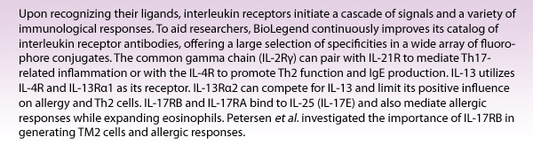 Upon recognizing their ligands, interleukin receptors initiate a cascade of signals and a variety of immunological responses. To aid researchers, BioLegend continuously improves its catalog of interleukin receptor antibodies, offering a large selection of specificities in a wide array of fluorophore conjugates. The common gamma chain (IL-2Rγ) can pair with IL-21R to mediate Th17-related inflammation or with the IL-4R to promote Th2 function and IgE production. IL-13 utilizes IL-4R and IL-13Rα1 as its receptor. IL-13Rα2 can compete for IL-13 and limit its positive influence on allergy and Th2 cells. IL-17RB and IL-17RA bind to IL-25 (IL-17E) and also mediate allergic responses while expanding eosinophils. Petersen et al. investigated the importance of IL-17RB in generating TM2 cells and allergic responses.