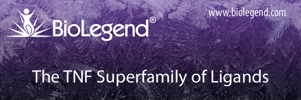 The TNF Superfamily of Ligands