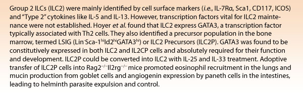 Group 2 ILCs (ILC2) were mainly identified by cell surface markers (i.e., IL-7R?, Sca1, CD117, ICOS)  and Type 2 cytokines like IL-5 and IL-13. However, transcription factors vital for ILC2 maintenance were not established. Hoyer et al. found that ILC2 express GATA3, a transcription factor typically associated with Th2 cells. They also identified a precursor population in the bone marrow, termed LSIG (Lin-Sca-1hiId2hiGATA3hi) or ILC2 Precursors (ILC2P). GATA3 was found to be constitutively expressed in both ILC2 and IL2CPcells and absolutely required for their function and development. ILC2P could be converted into ILC2 with IL-25 and IL-33 treatment. Adoptive transfer of ILC2P cells into Rag2 Il2rg mice promoted eosinophil recruitment in the lungs and mucin production from goblet cells and angiogenin expression by paneth cells in the intestines, leading to helminth parasite expulsion and control.