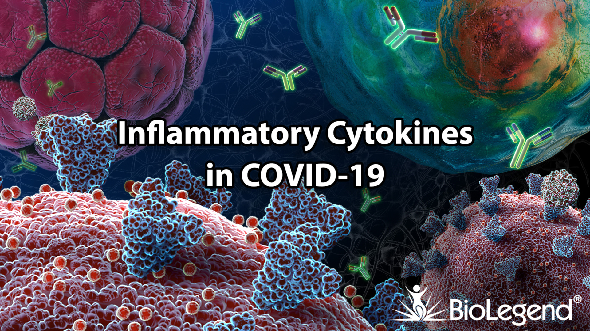 Inflammatory Cytokines in COVID-19 
