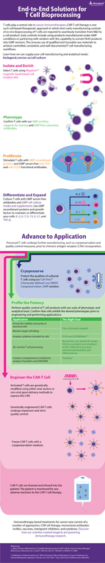 T-Cell Infographic