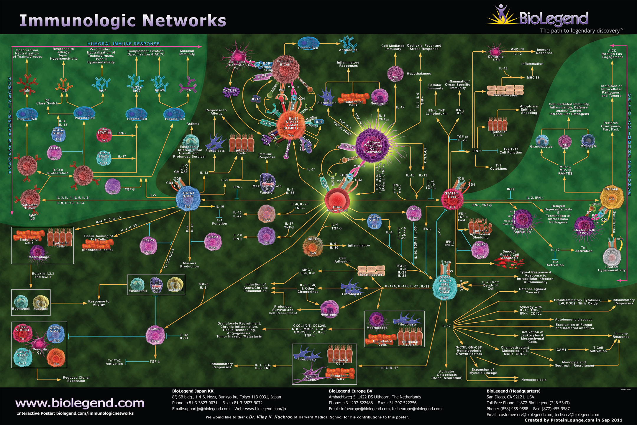 Immunologic Networks 2011