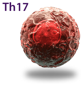 Th17 Cell